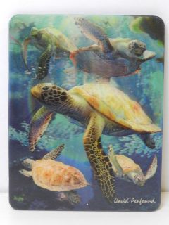 Obrázek z Magnet 3D 7x9cm - mořské želvy (25) 